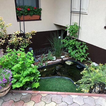 Milla Apartman Сентендре Экстерьер фото