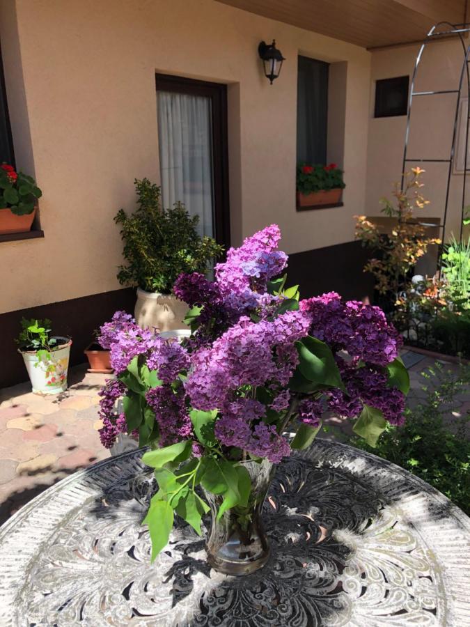 Milla Apartman Сентендре Экстерьер фото