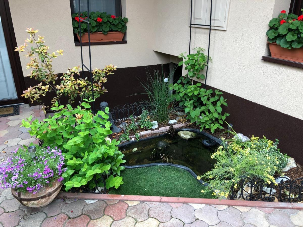 Milla Apartman Сентендре Экстерьер фото